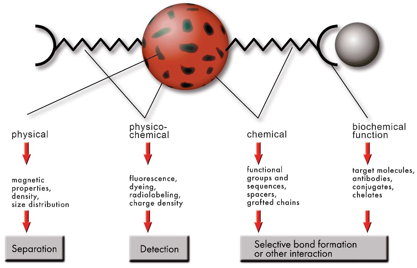 ���ڱ���
